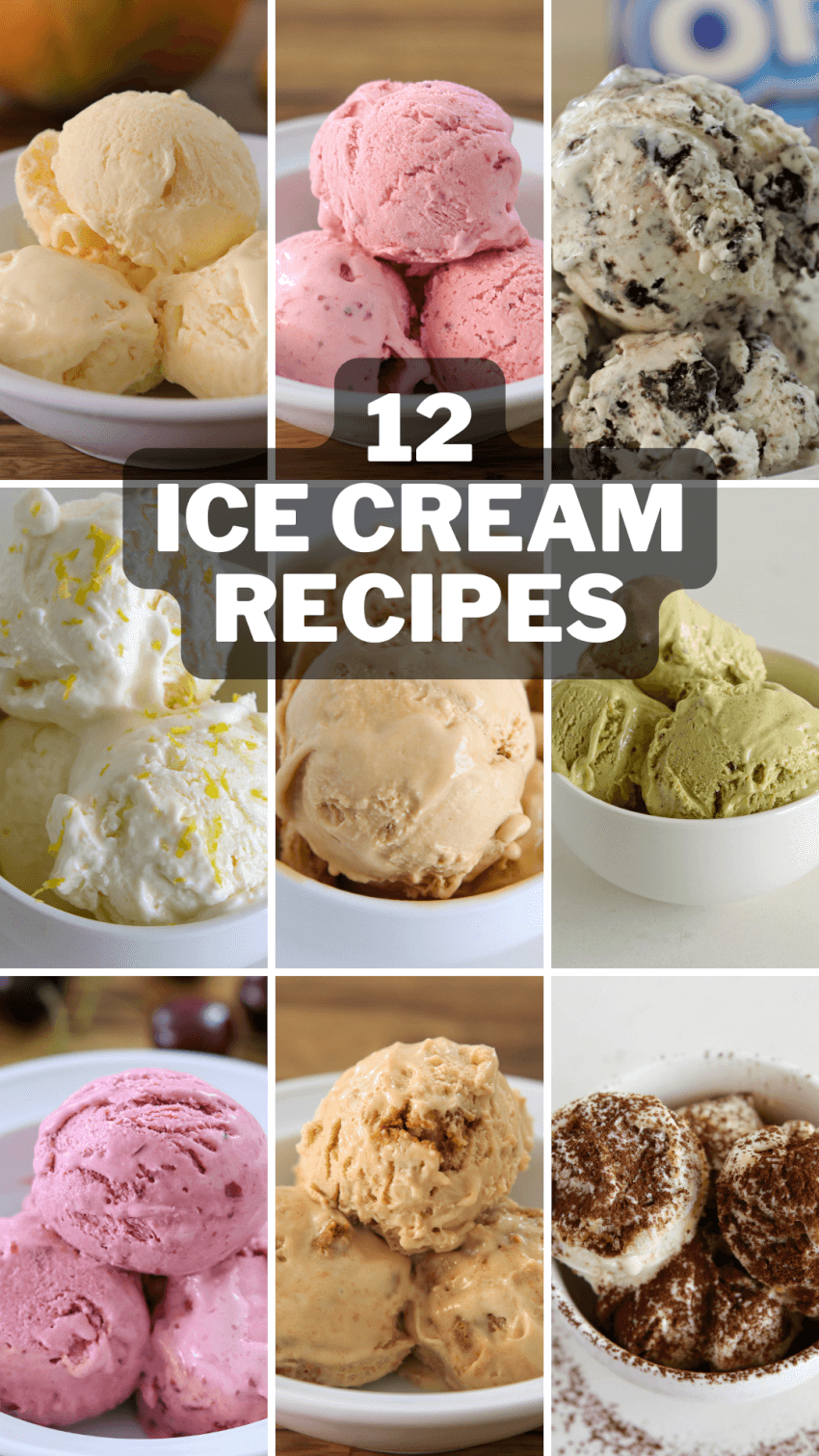 12 homemade ice cream recipes